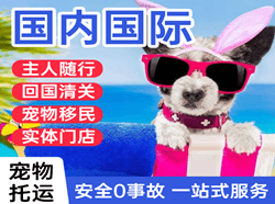 哈尔滨平房空运地址国际宠物托运 【国